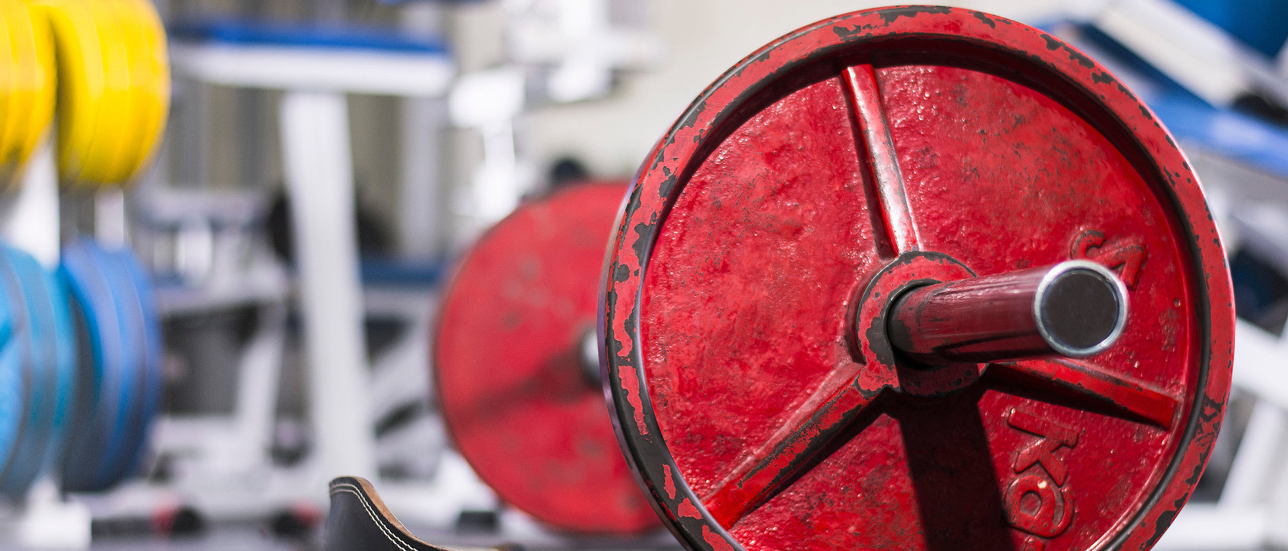 Old school gym interior with equipment, bodybuilding background. Focus on free weight Olympic bar. Weightlifting belt by the side.